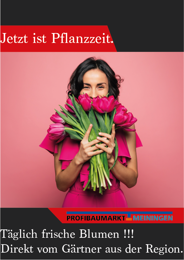 Pflanzzeit